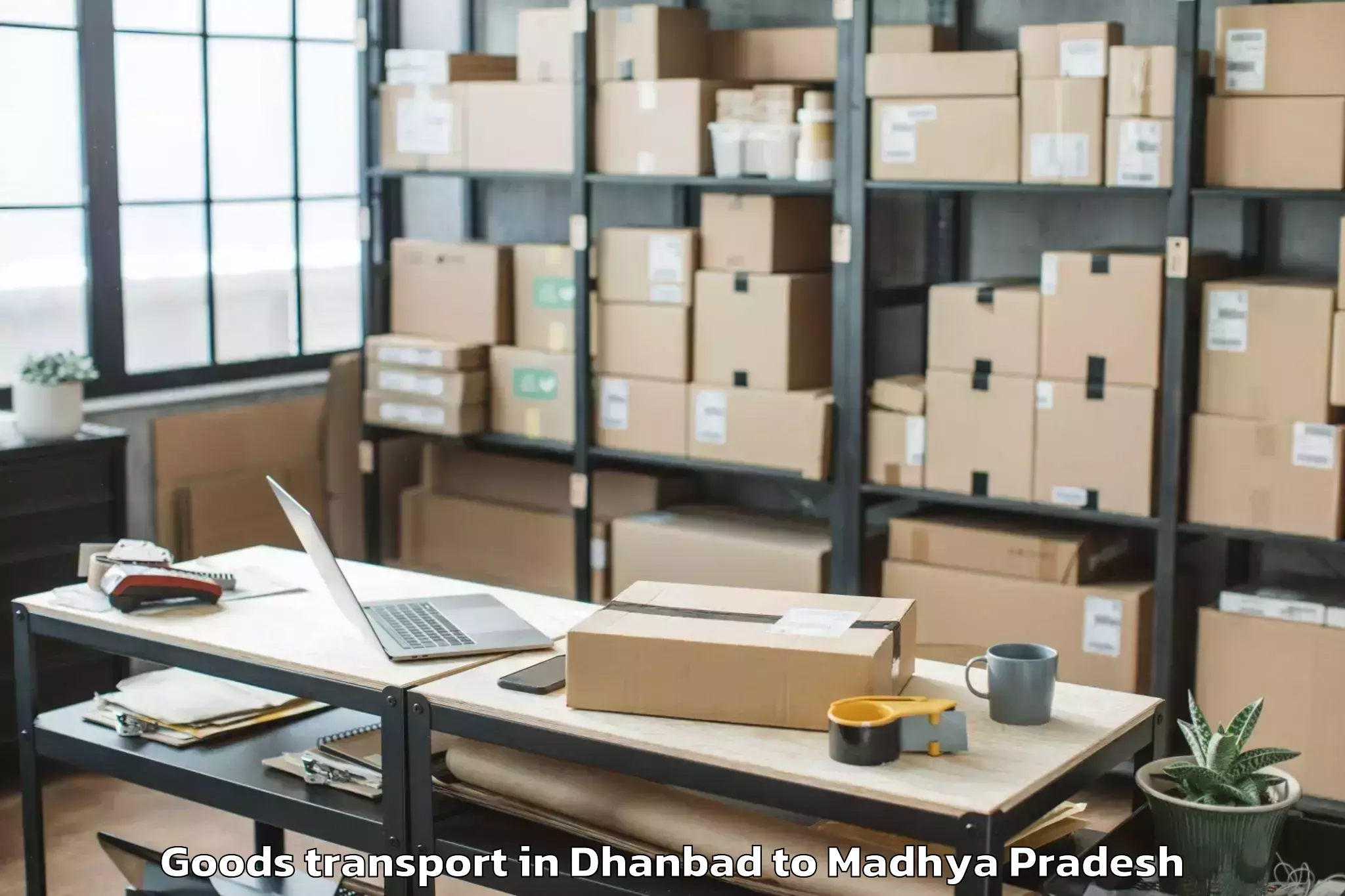 Expert Dhanbad to Shajapur Goods Transport